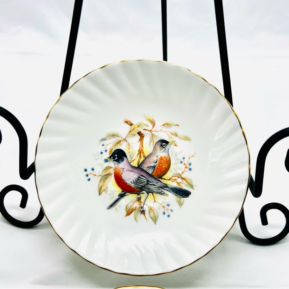 Birds Of America Queen’s Series 1 Rosina Bone China 3pc Saucer Nature Robin 1970